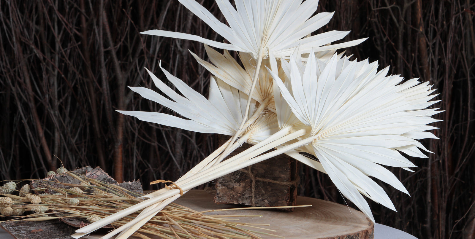 Bleached Dried Leaves