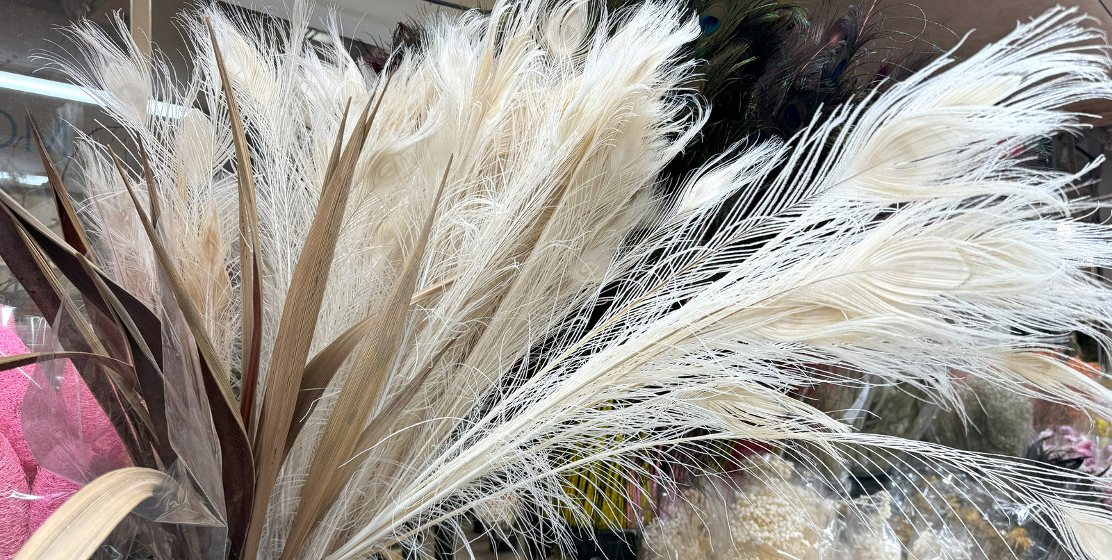 Feathers