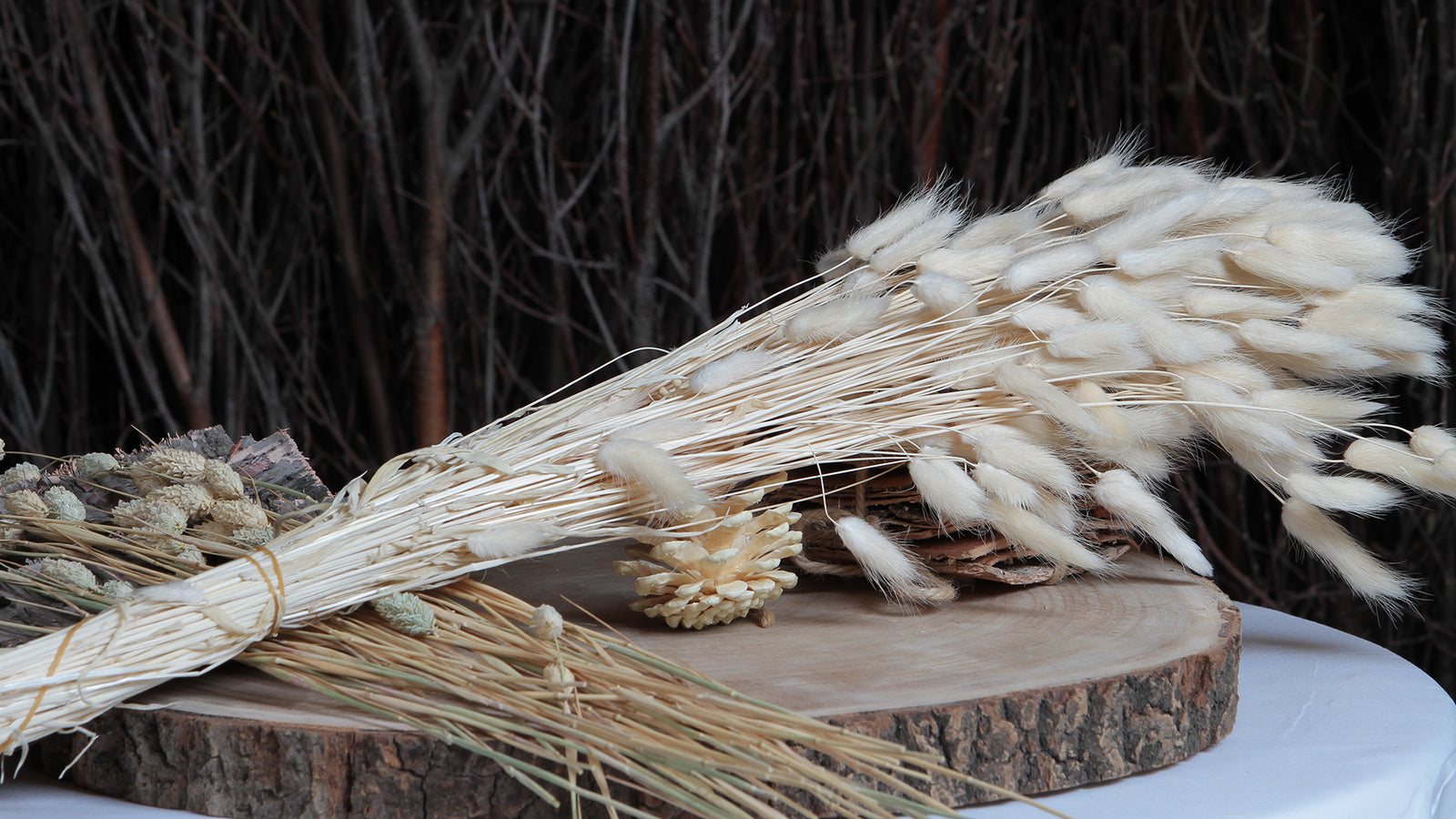 Bleached Dried Grasses