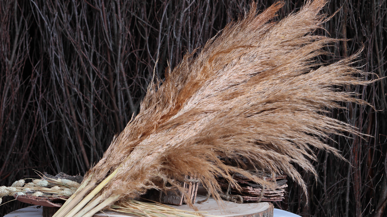 Natural Dried Grasses