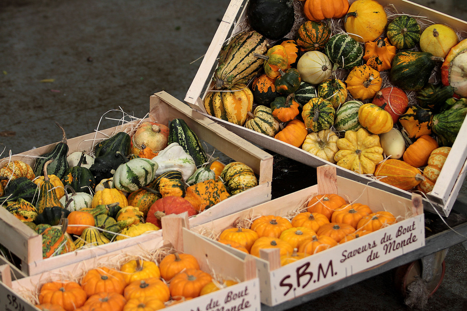 Vegetable Complete Collection