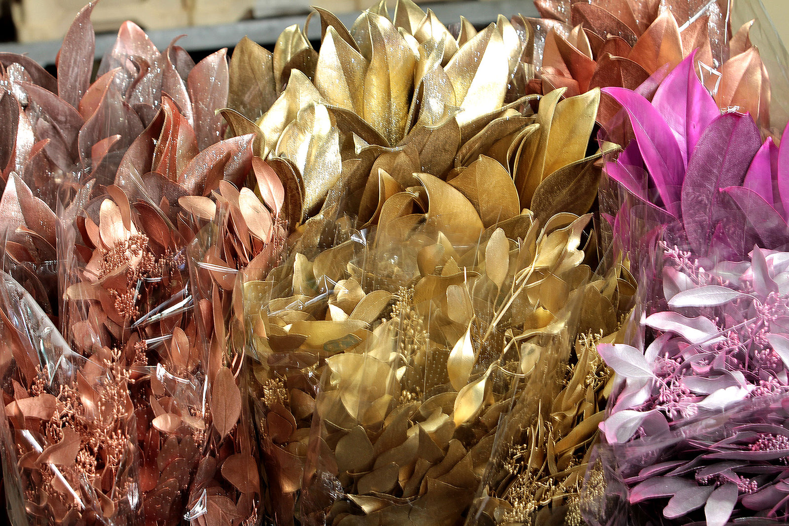 Christmas Complete Collection