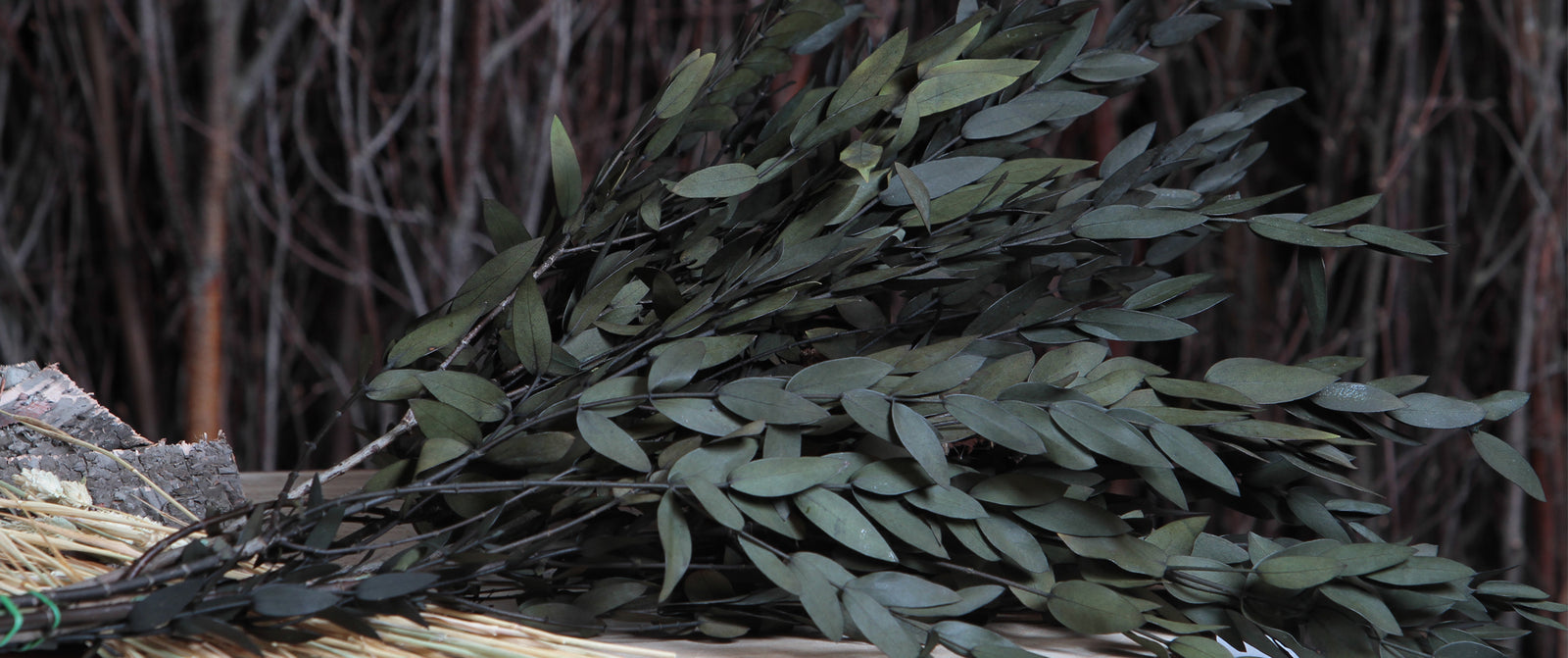 Dried Painted or Coloured Products