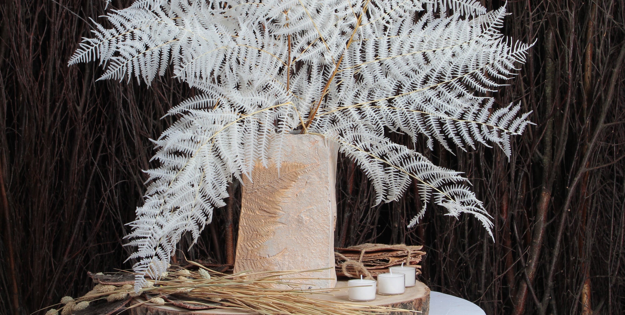 Dried Ferns