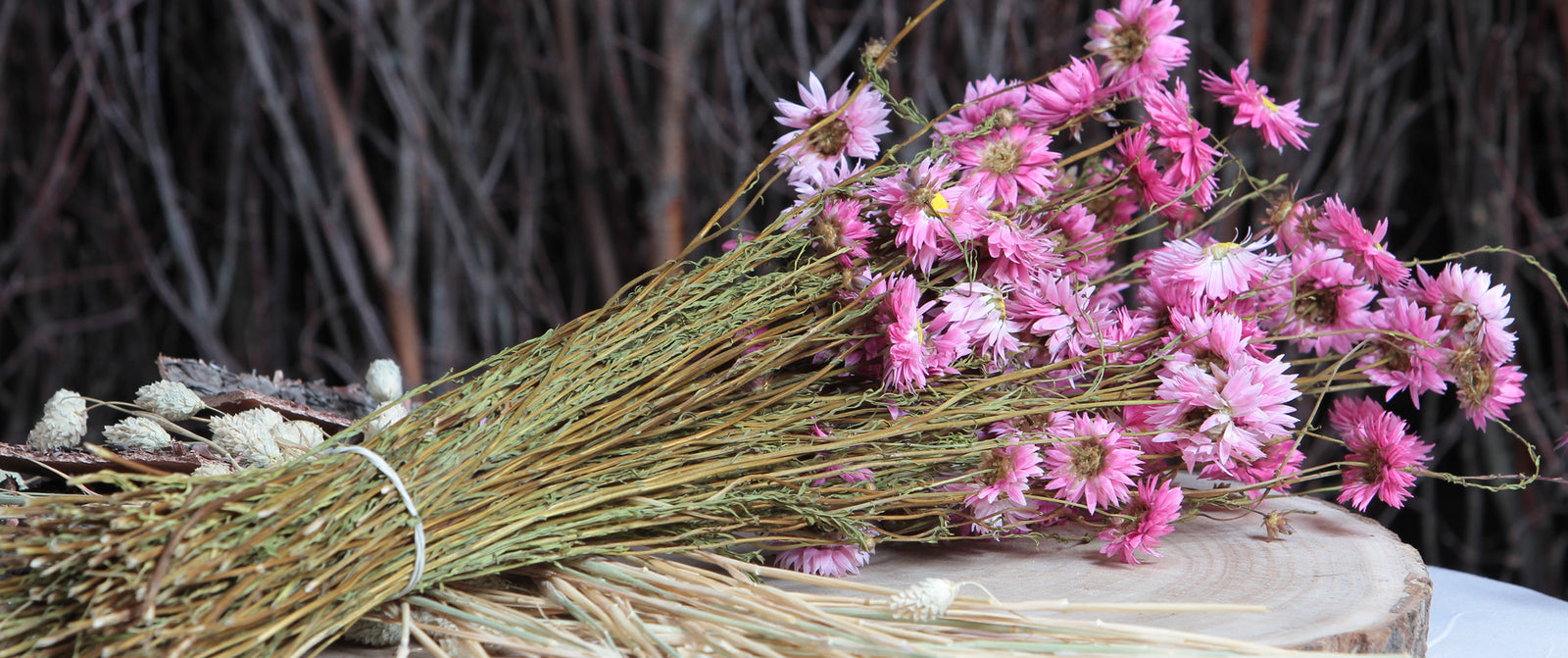 Natural Dried Flowers