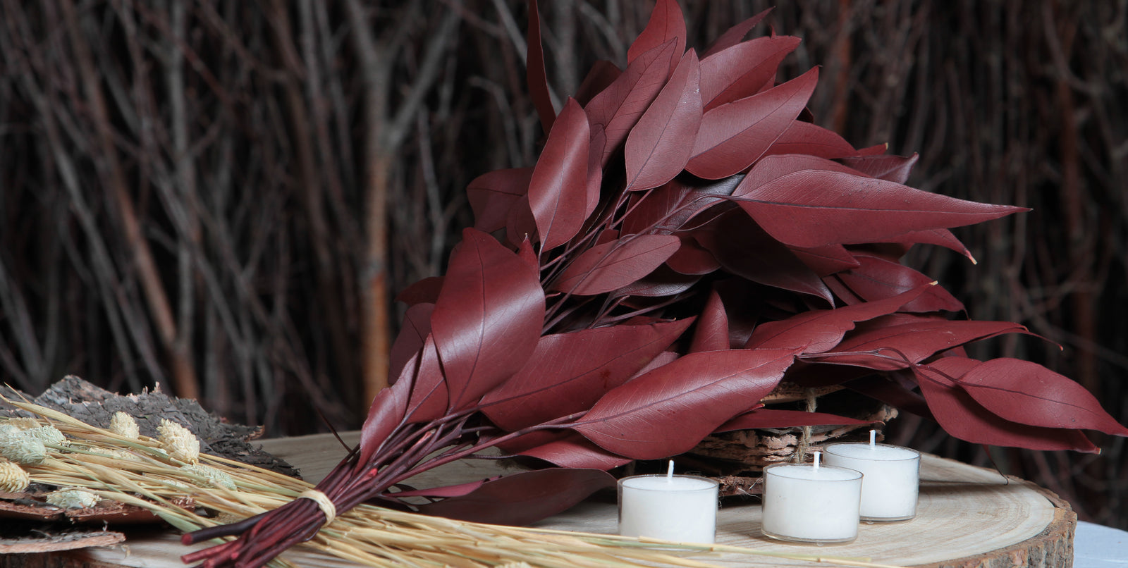 Coloured Dried Leaves