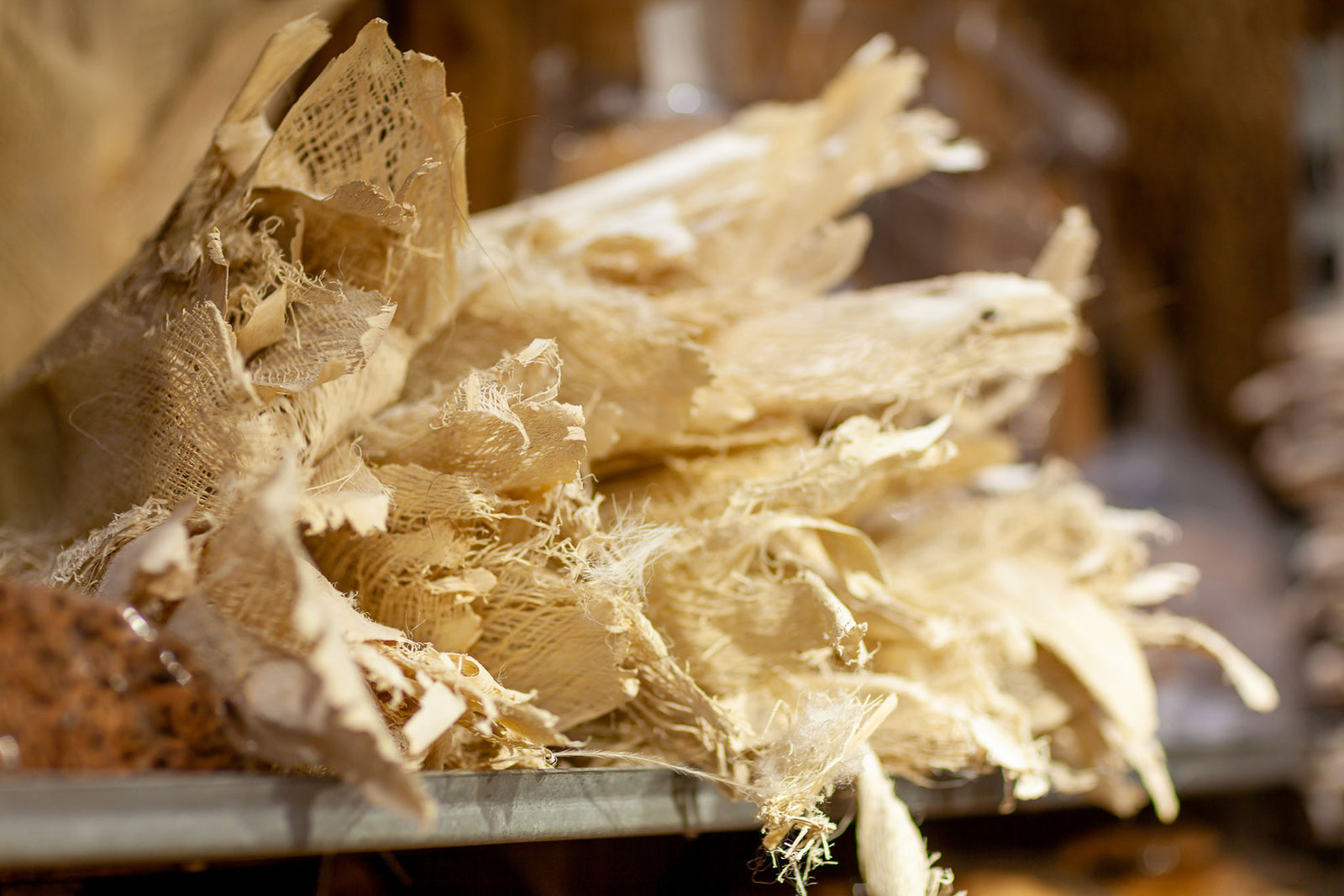 DRY Products Complete Collection