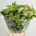 Viburnum &#39;Guelder&#39; (Cultivated) (Various Sizes)
