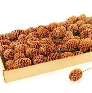 Cones &#39;Sabulosum&#39; (on Wire) (Natural) (DRY) (80pcs)