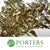 Ivy 'Berried' (Painted) (Various Colours) (300g)