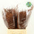 Fern 'Asparagus' (Painted) 45cm (Various Colours) (x50)