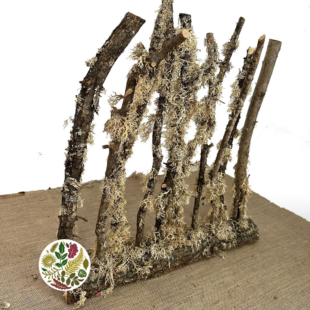 Screen &#39;Oakmoss Stems&#39; (DRY) (Various Sizes)