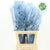 Fern 'Asparagus' (Painted) 85cm (Various Colours) (x50)