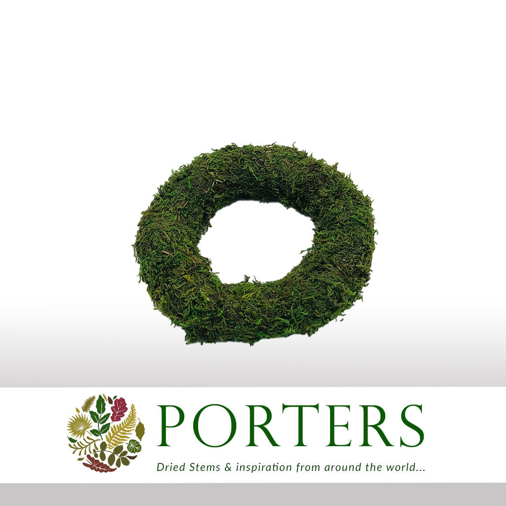 Wreath &#39;Moss&#39; (Thin) (DRY) (Various Sizes)
