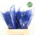 Fern 'Asparagus' (Painted) 45cm (Various Colours) (x50)