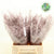 Fern 'Asparagus' (Painted) 45cm (Various Colours) (x50)