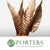 Strelitzia 'Leaves' Painted (Various Colours) (x10)