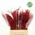 Fern 'Asparagus' (Painted) 45cm (Various Colours) (x50)