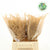 Fern 'Asparagus' (Painted) 45cm (Various Colours) (x50)