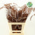 Fern 'Asparagus' (Painted) 85cm (Various Colours) (x50)