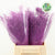 Fern 'Asparagus' (Painted) 45cm (Various Colours) (x50)