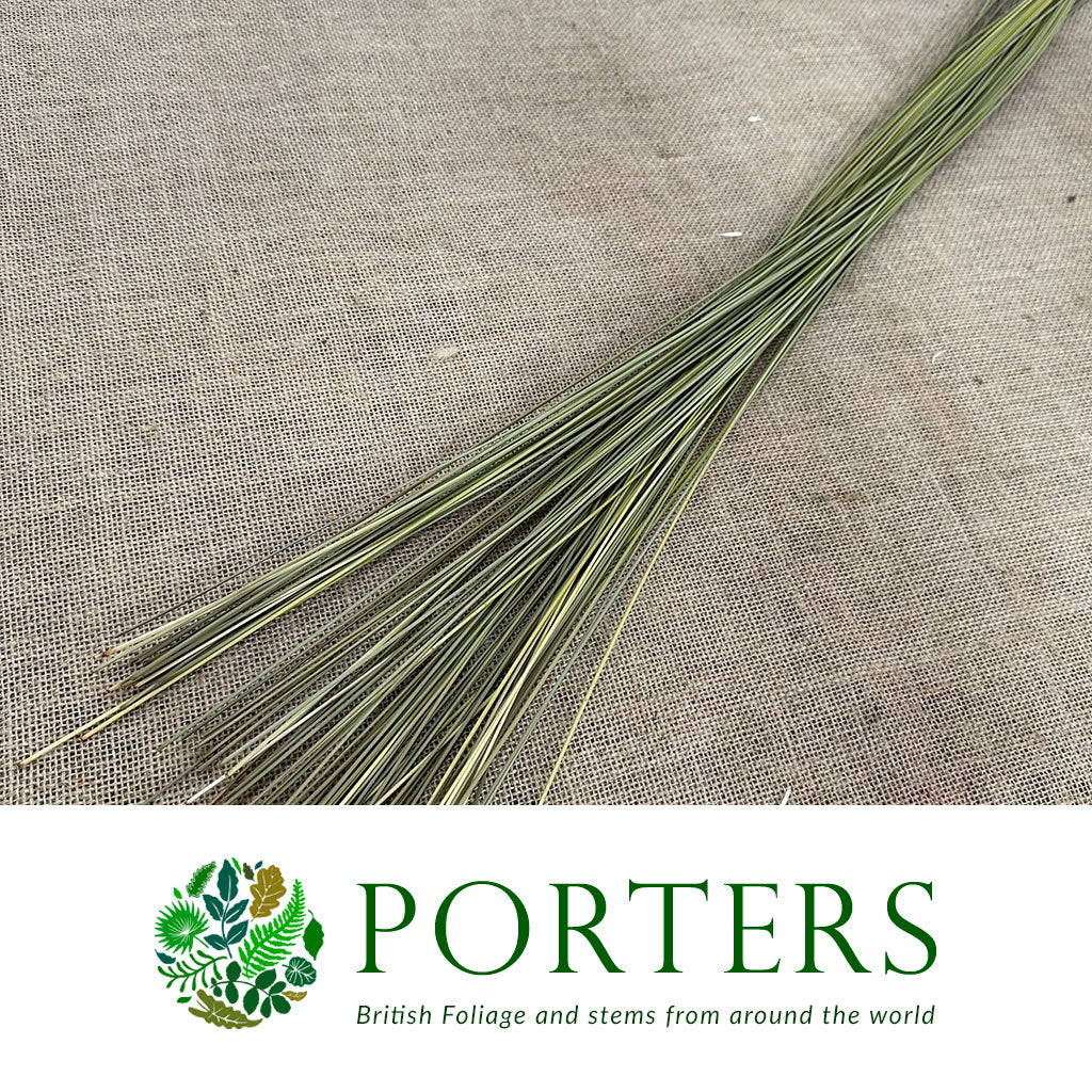 Grass &#39;Flexi&#39; (DRY) (Natural)