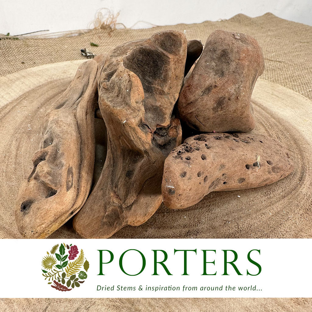 Driftwood &#39;Pieces&#39; (Natural) (Various Sizes)