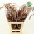 Fern 'Asparagus' (Painted) 65cm (Various Colours) (x50)