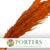 Grass 'Pampas' (x8) 120cm (Various Colours) (DRY)