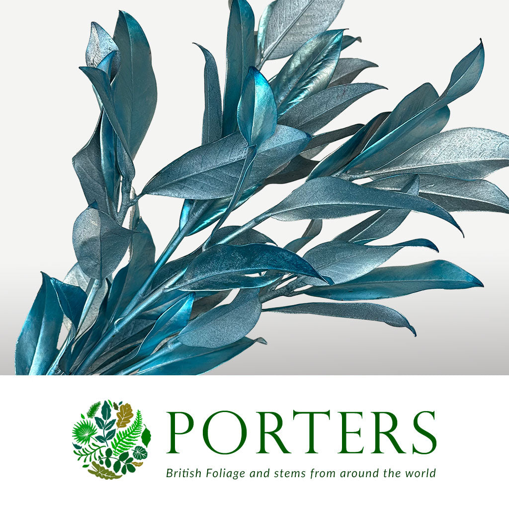 Magnolia 'Foliage' (Painted Metallic) (Various Colours) 80cm (300g)