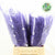 Fern 'Asparagus' (Painted) 45cm (Various Colours) (x50)