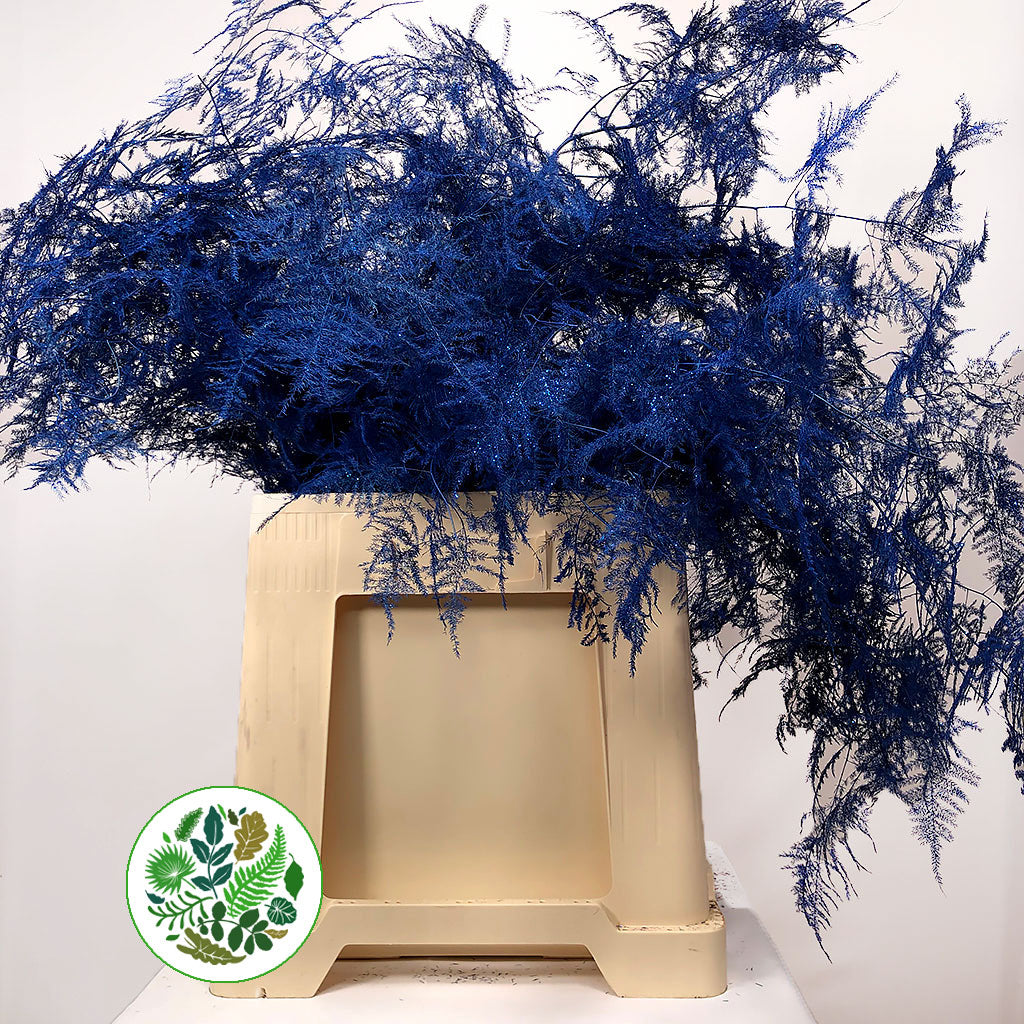 Fern &#39;Asparagus&#39; (Painted/Glitter) 85cm (Various Colours) (x50)
