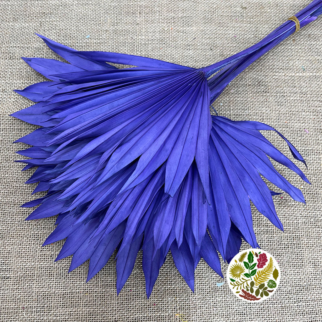 Palm &#39;Fan Palm&#39; (Painted) (DRY) (Various Colours) (x6) 45-55cm