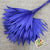 Palm 'Fan Palm' (Painted) (DRY) (Various Colours) (x5) 45-55cm