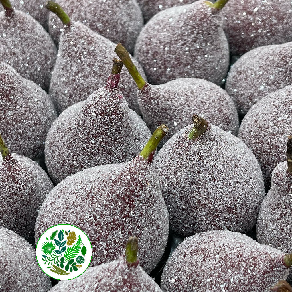 Waxed 'Pears' (Various Colours) 'With and Without Glitter' (x39)