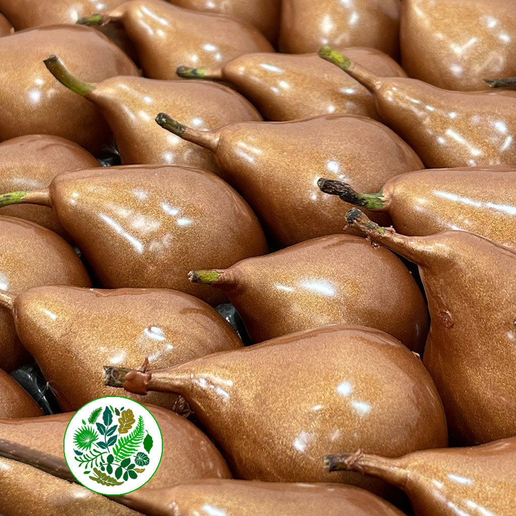 Waxed 'Pears' (Various Colours) 'With and Without Glitter' (x39)