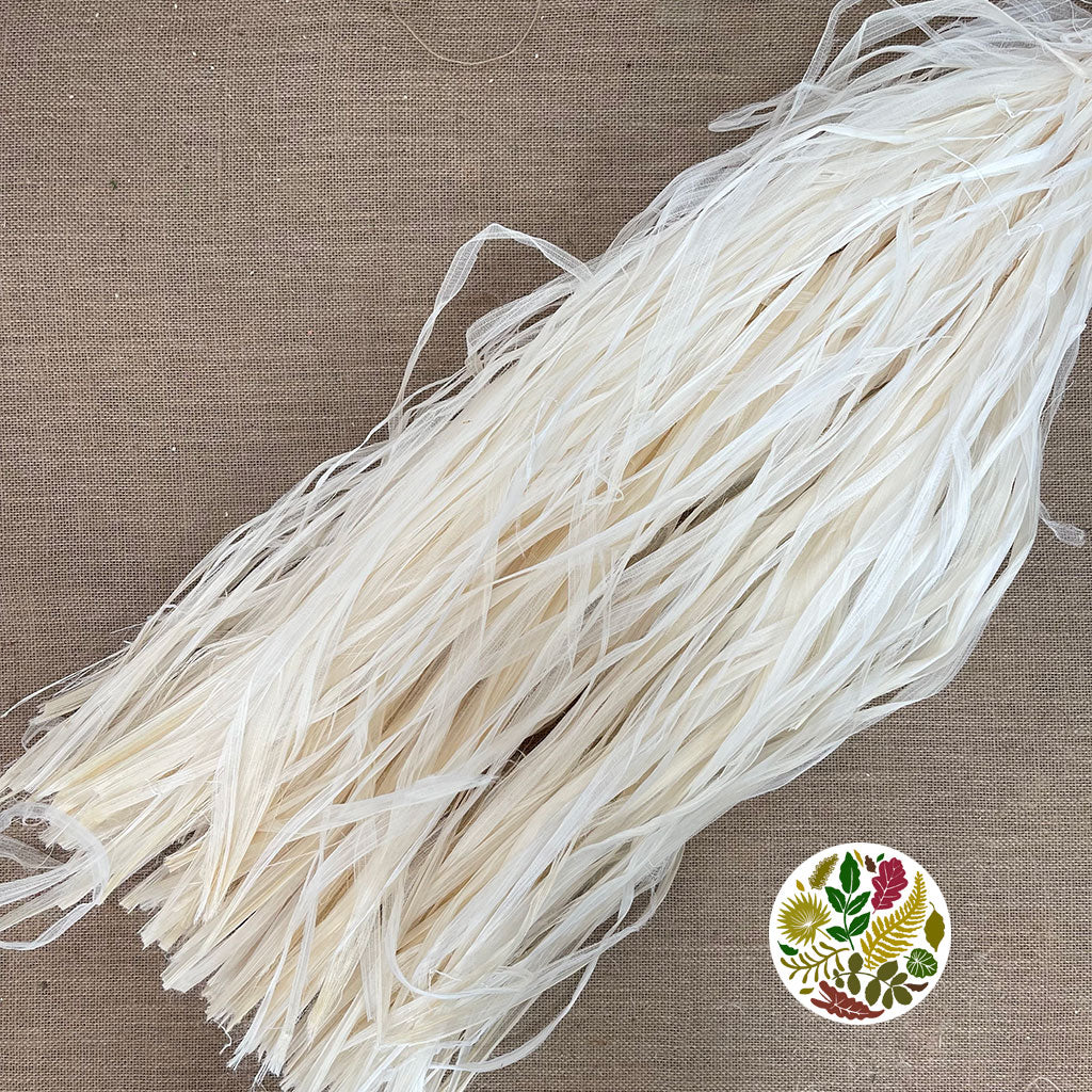 Raffia 'Skeleton' (Bleached)  (Various Sizes)