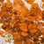 Beech 'Stabilized' (Coloured) 60-80cm (DRY) (150g)