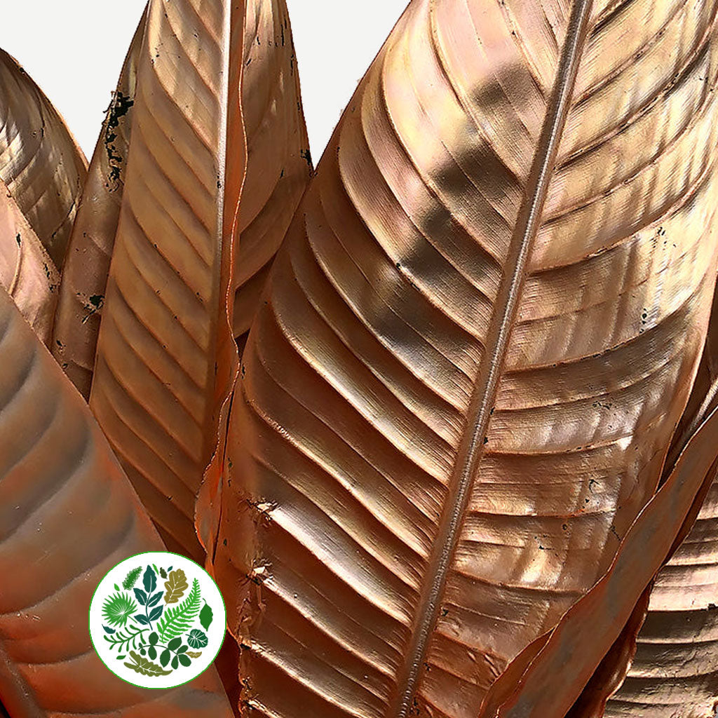 Strelitzia 'Leaves' Painted (Various Colours) (x10)
