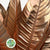 Strelitzia 'Leaves' Painted (Various Colours) (x10)