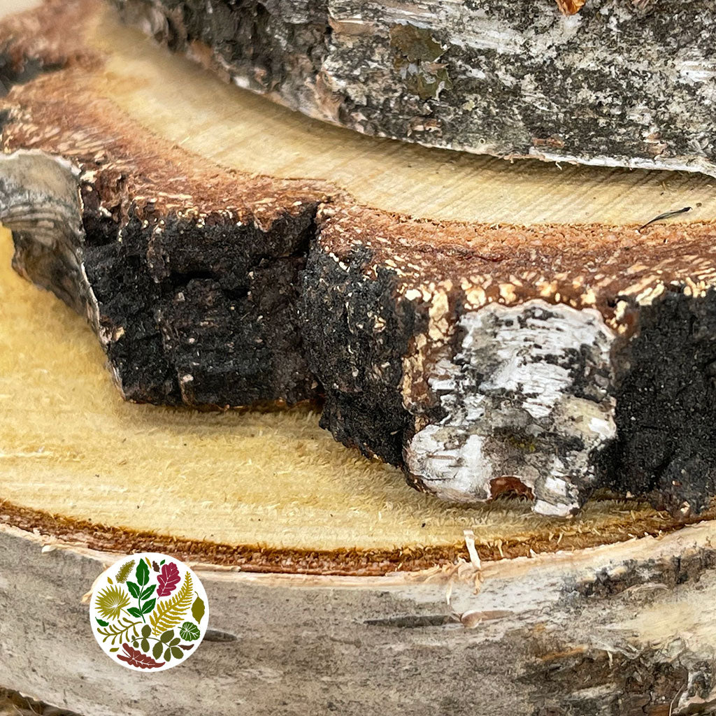 Wood Slices Wild (Round)