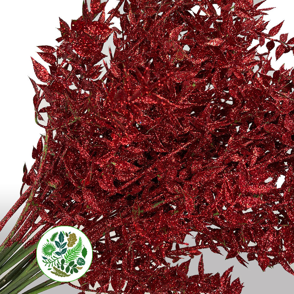 Ruscus &#39;Wild&#39; (Painted &amp; Glitter) (DRY) (x5)