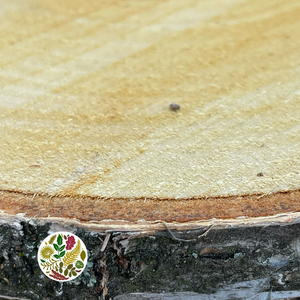 Wood Slices Wild (Round)