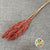 Grass 'Sorgum' (Painted) (DRY) (Various Colours) 70cm (x3)