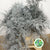Fern 'Asparagus' (Painted) 85cm (Various Colours) (x50)