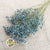 Gypsophila (Painted) (DRY) (Various Colours)