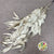 Eucalyptus 'Exotica' (Preserved & Painted) (DRY) (Various Colours)