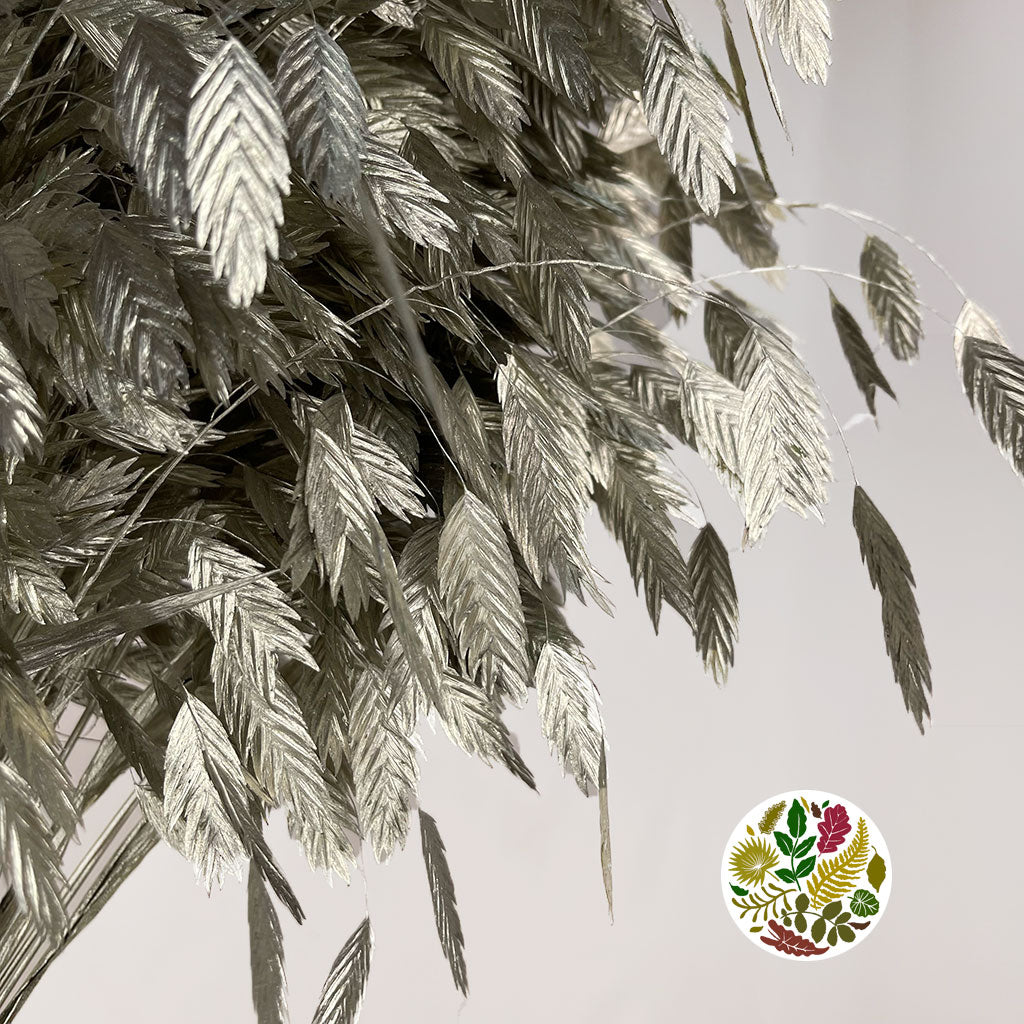 Grass 'Sea Oats' (Painted) (Various Colours) (x50)