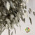 Grass 'Sea Oats' (Painted) (Various Colours) (x50)