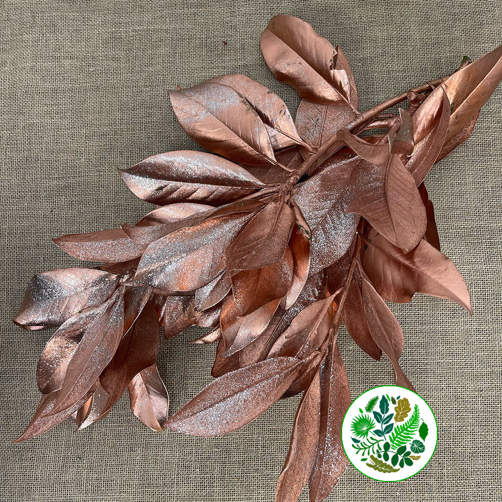 Magnolia &#39;Foliage&#39; (Painted + Glitter) (Various Colours) 80cm (400g)